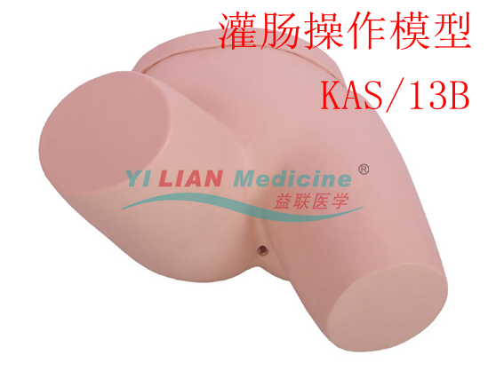 婦科檢查模型