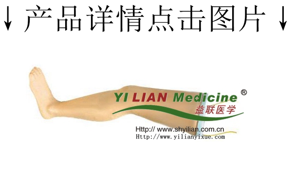 高級靜脈輸液腿模型