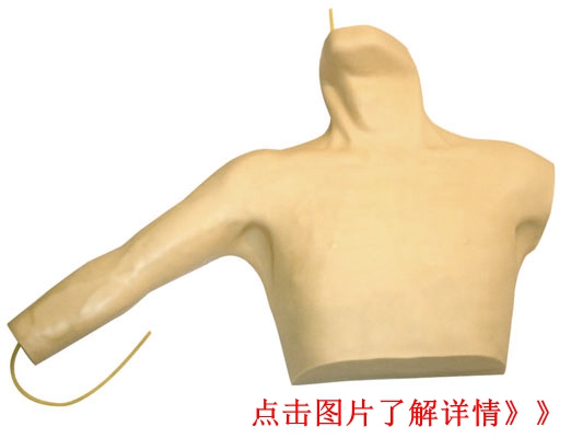 中心靜脈穿刺插管模型
