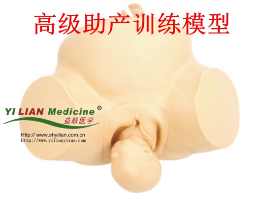 助產訓練模型